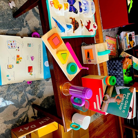 Lovevery Toys Complete Lovevery The Realist Play Kit 9 2 21 Months